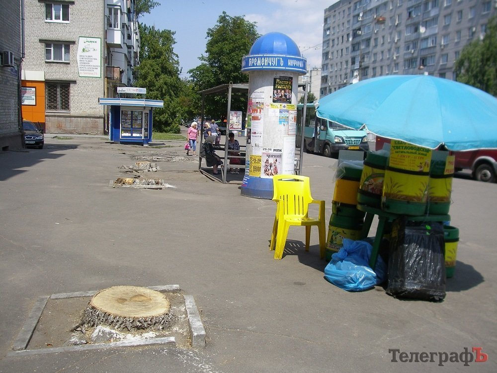 Чиновники объяснили, как на остановке "Центр" снесли деревья Чиновники объяснили, как на остановке "Центр" снесли деревья