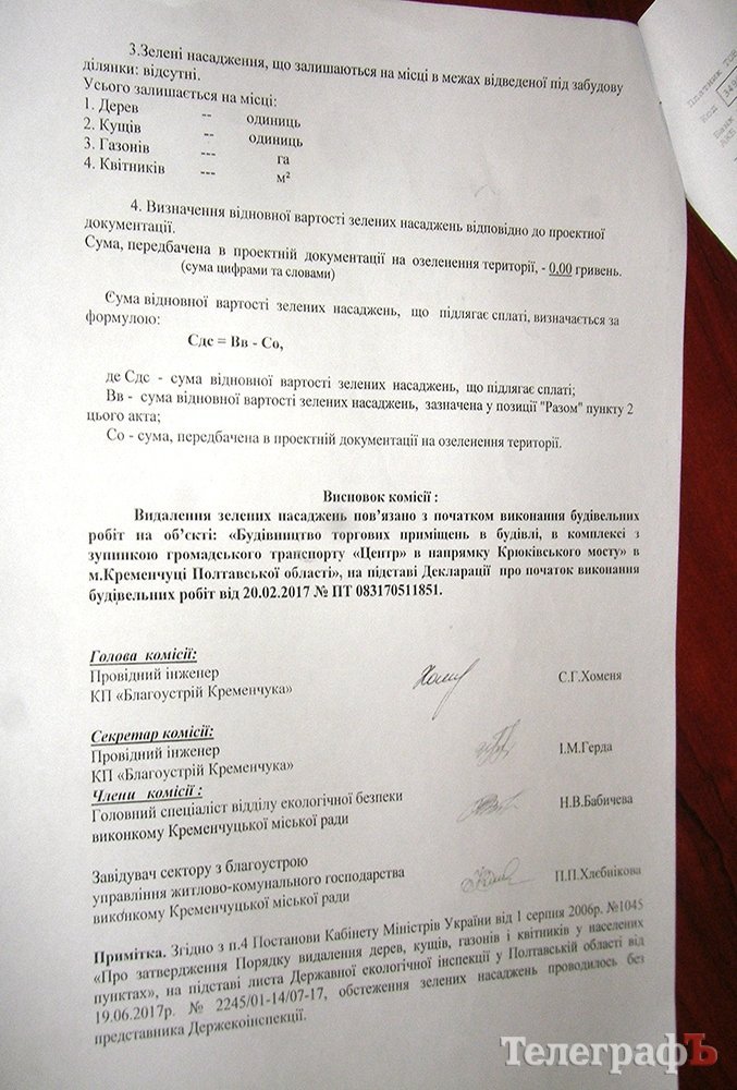 Чиновники объяснили, как на остановке "Центр" снесли деревья Чиновники объяснили, как на остановке "Центр" снесли деревья