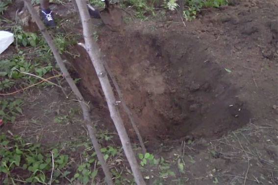 Убийство двух полтавчан, тела которых откопали в лесополосе: задержан соучастник преступления Убийство двух полтавчан, тела которых откопали в лесополосе: задержан соучастник преступления