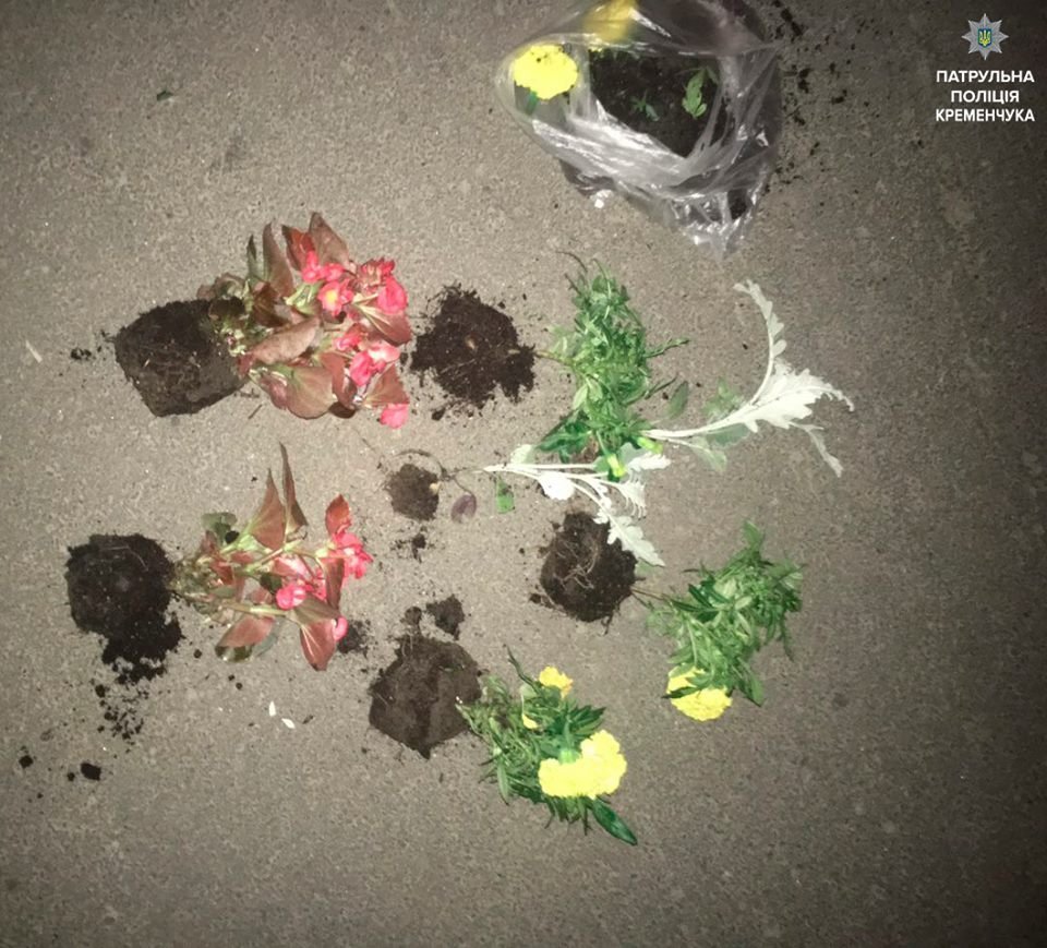 В Кременчуге активизировались ночные любители прекрасного В Кременчуге активизировались ночные любители прекрасного