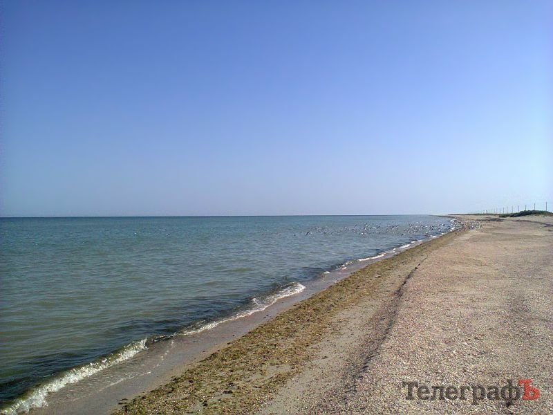 Остров президентов и оленей: Обратная сторона Кирилловки Остров президентов и оленей: Обратная сторона Кирилловки