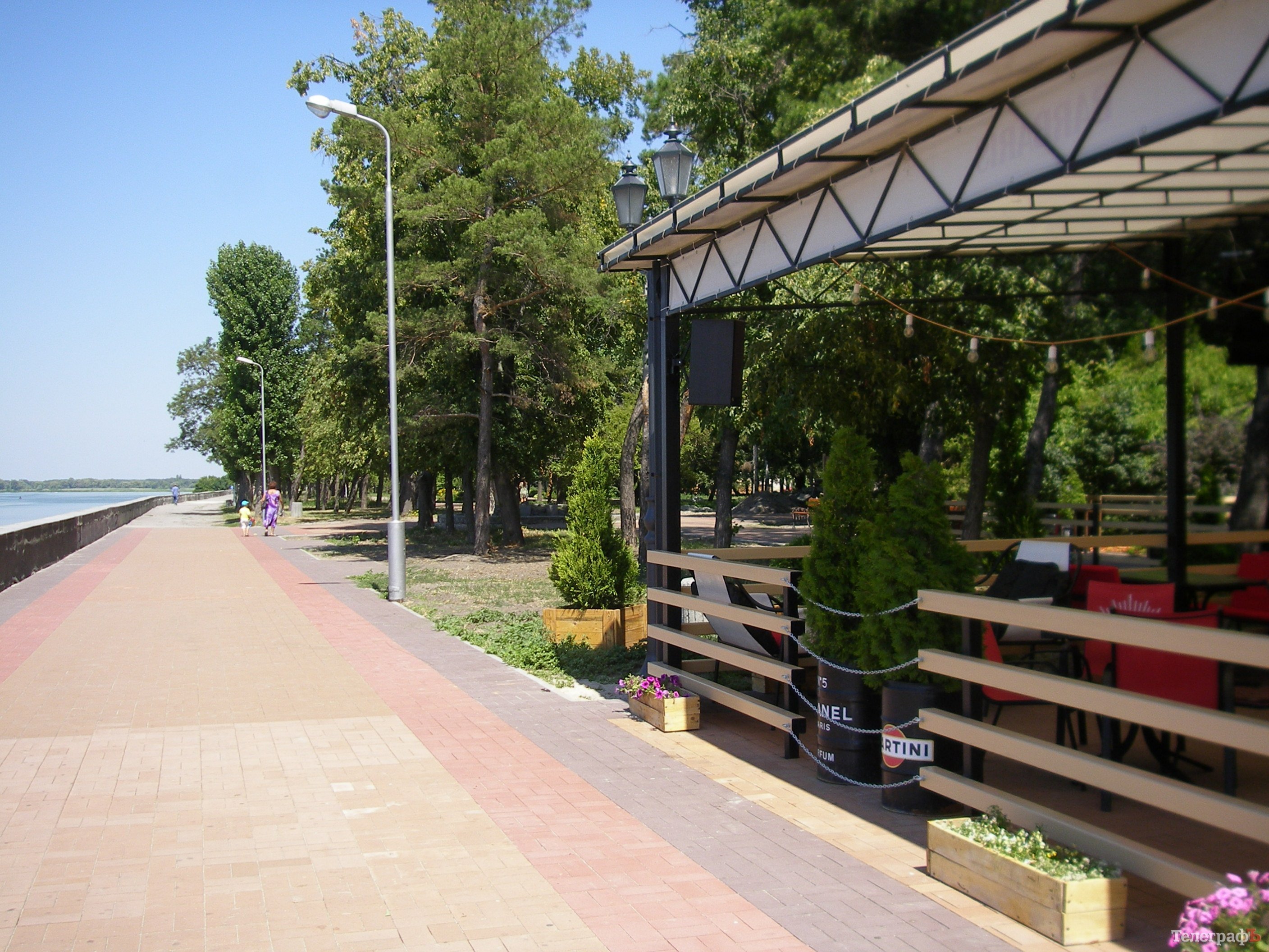 В Приднепровском парке уничтожили аллею тополей на набережной В Приднепровском парке уничтожили аллею тополей на набережной