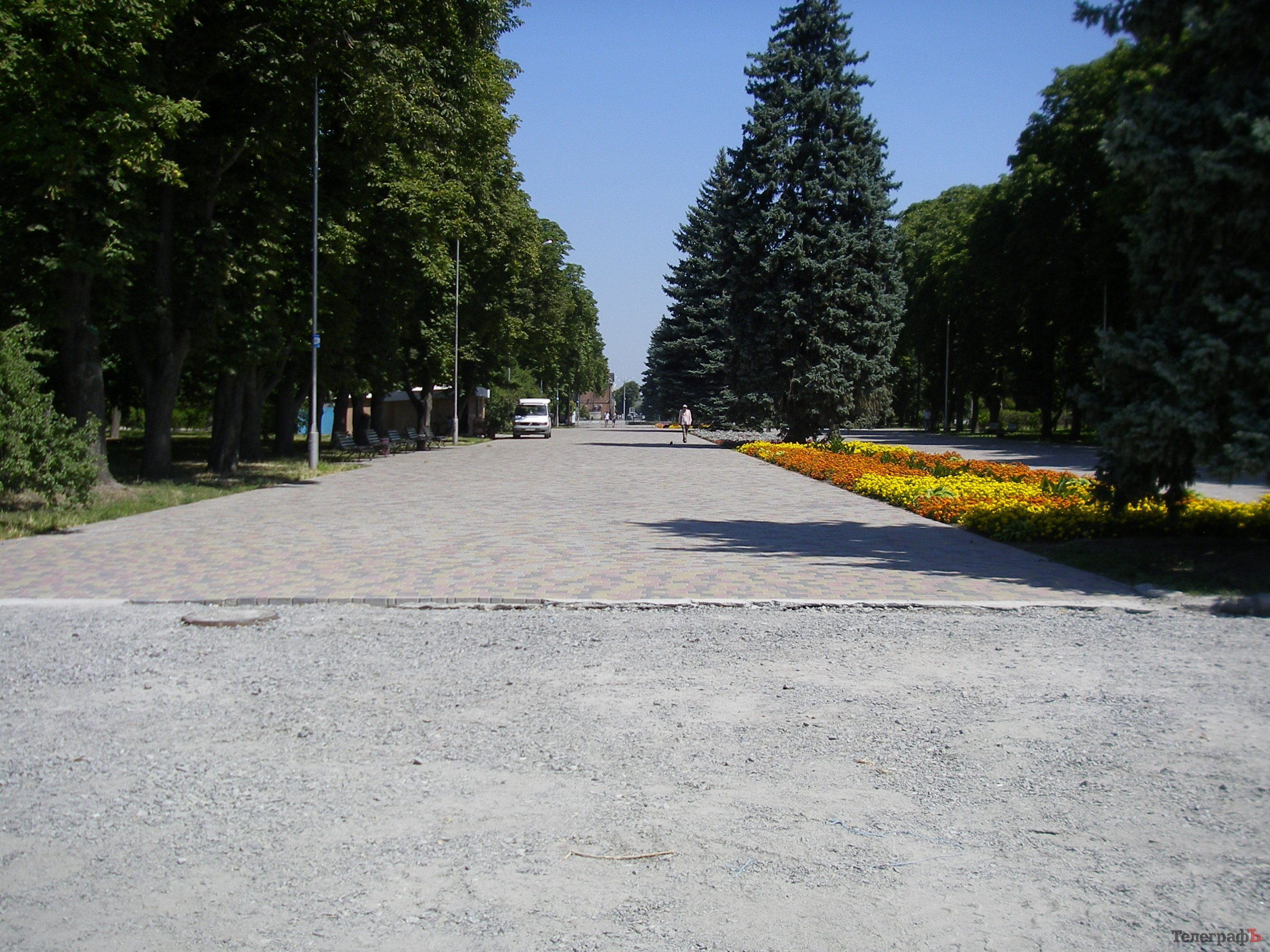 В Приднепровском парке уничтожили аллею тополей на набережной В Приднепровском парке уничтожили аллею тополей на набережной