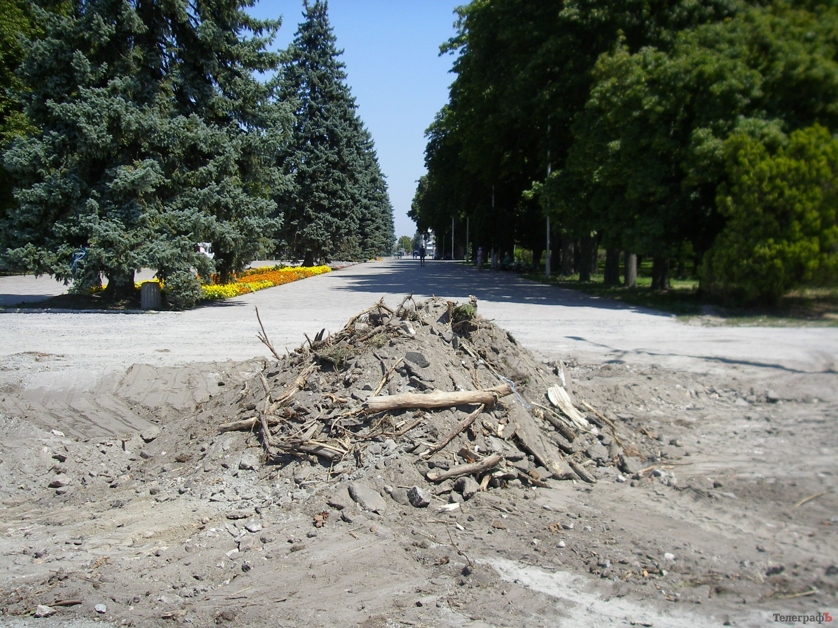В Приднепровском парке уничтожили аллею тополей на набережной В Приднепровском парке уничтожили аллею тополей на набережной