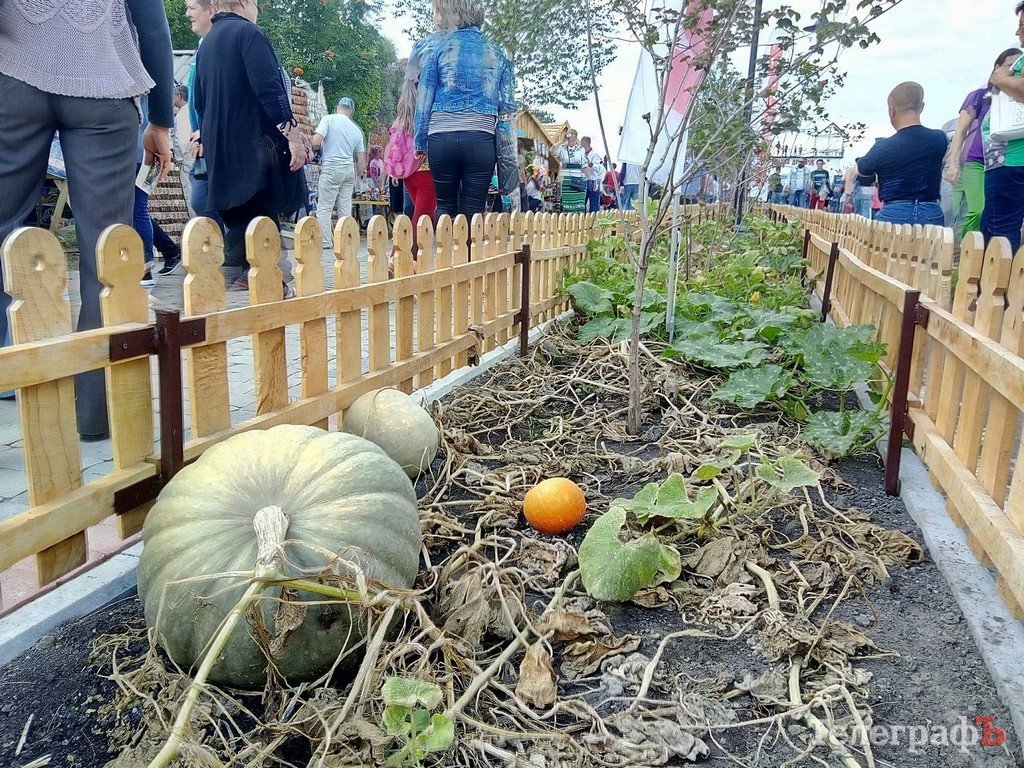 Цены на Сорочинской ярмарке в 2017 году: что купить, от чего отказаться Цены на Сорочинской ярмарке в 2017 году: что купить, от чего отказаться