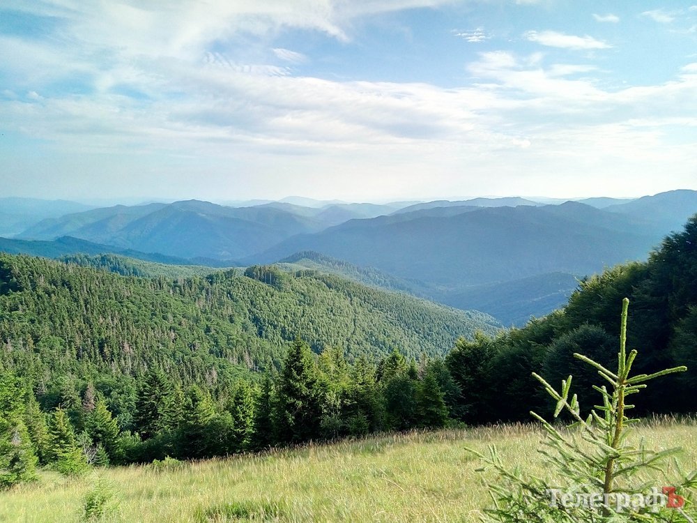 А вы уже сходили на Парашку? «Телеграф» в Карпатах А вы уже сходили на Парашку? «Телеграф» в Карпатах