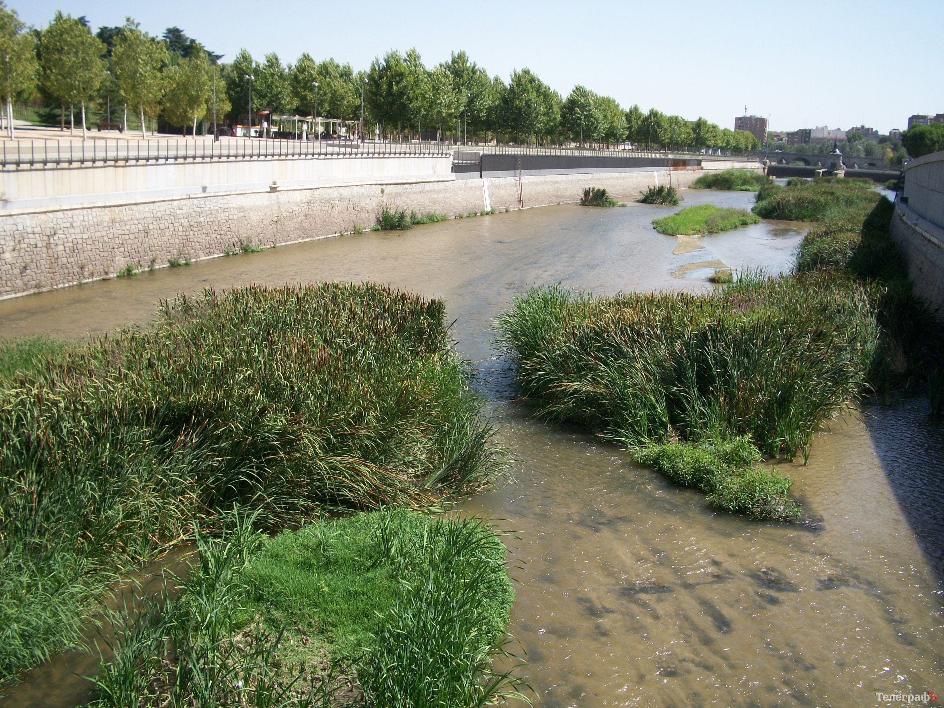 Кременчугский пакет съездил в Европу по безвизу. А как ты провел свое лето? Кременчугский пакет съездил в Европу по безвизу. А как ты провел свое лето?