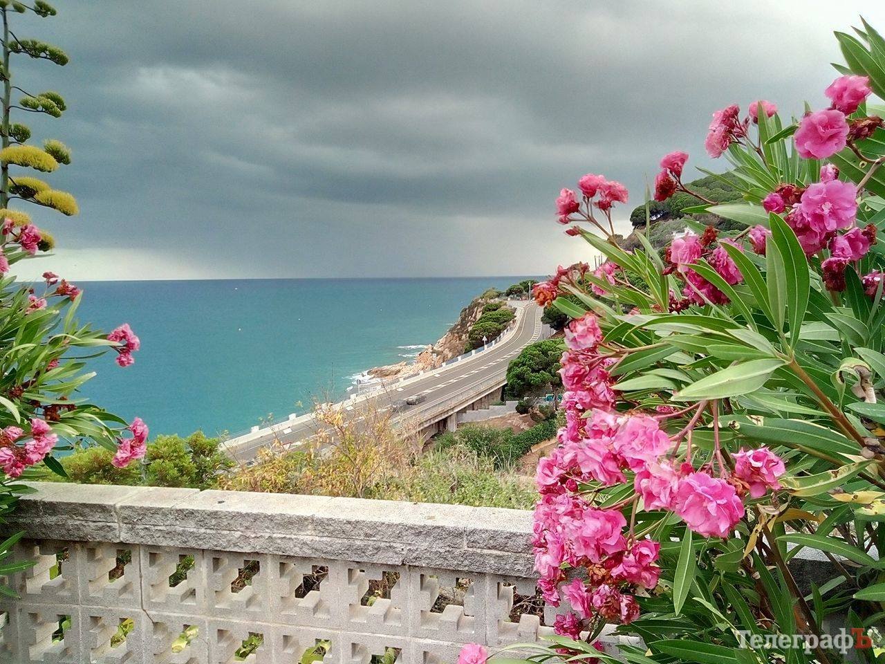 Кременчугский пакет съездил в Европу по безвизу. А как ты провел свое лето? Кременчугский пакет съездил в Европу по безвизу. А как ты провел свое лето?