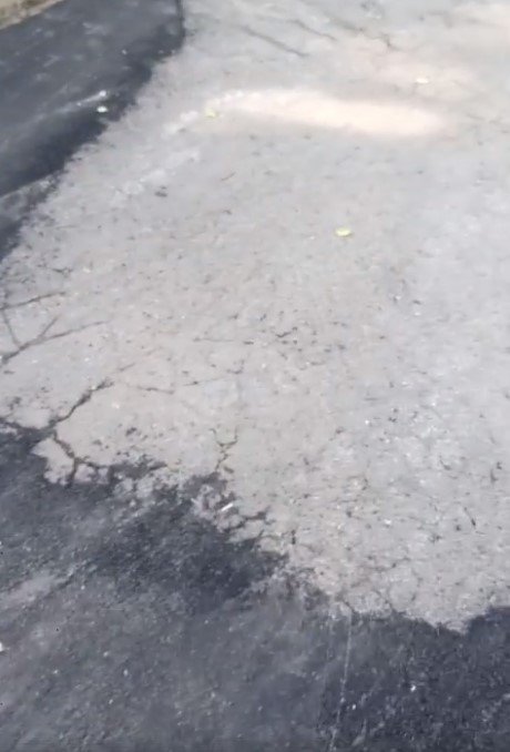 Возле 18-й школы больше не квакают лягушки Возле 18-й школы больше не квакают лягушки