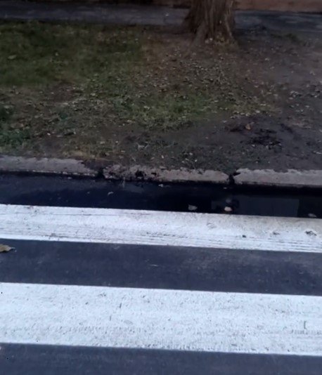 Возле 18-й школы больше не квакают лягушки Возле 18-й школы больше не квакают лягушки