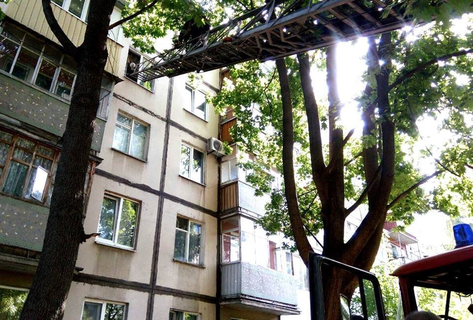 В Полтаве двухлетний ребенок ходил по подоконнику: спасатели готовились ловить одеялом В Полтаве двухлетний ребенок ходил по подоконнику: спасатели готовились ловить одеялом