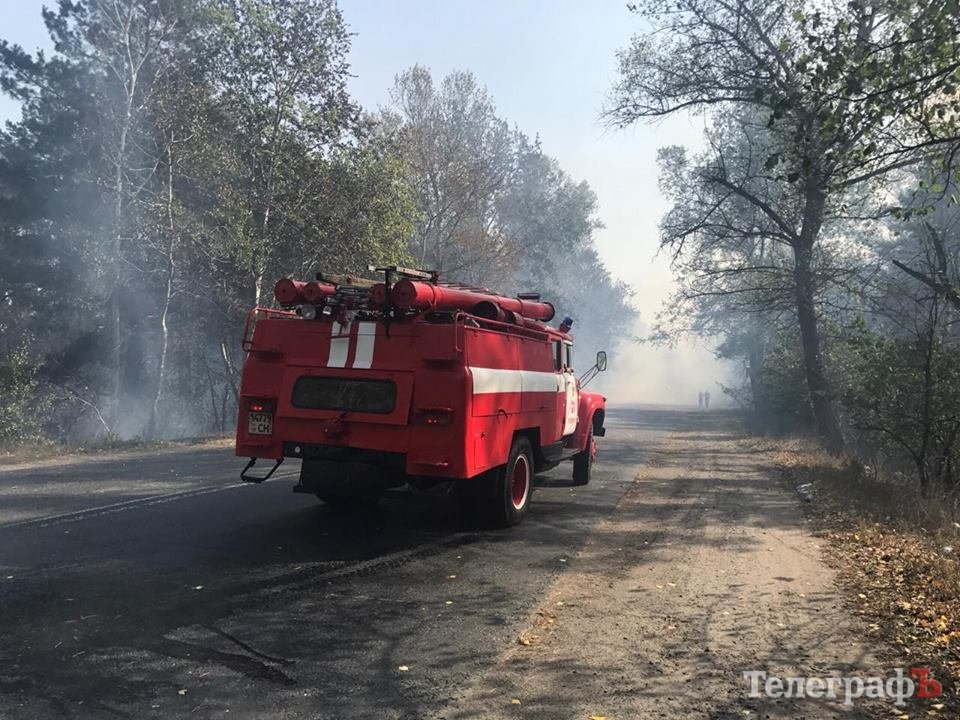 В Кременчуге в районе Малой Кохновки горит лес: на Горишние Плавни перекрыли дорогу В Кременчуге в районе Малой Кохновки горит лес: на Горишние Плавни перекрыли дорогу