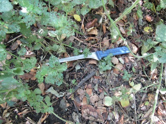 На Полтавщине разбойник отобрал у бабушки деньги, телефон и еду На Полтавщине разбойник отобрал у бабушки деньги, телефон и еду