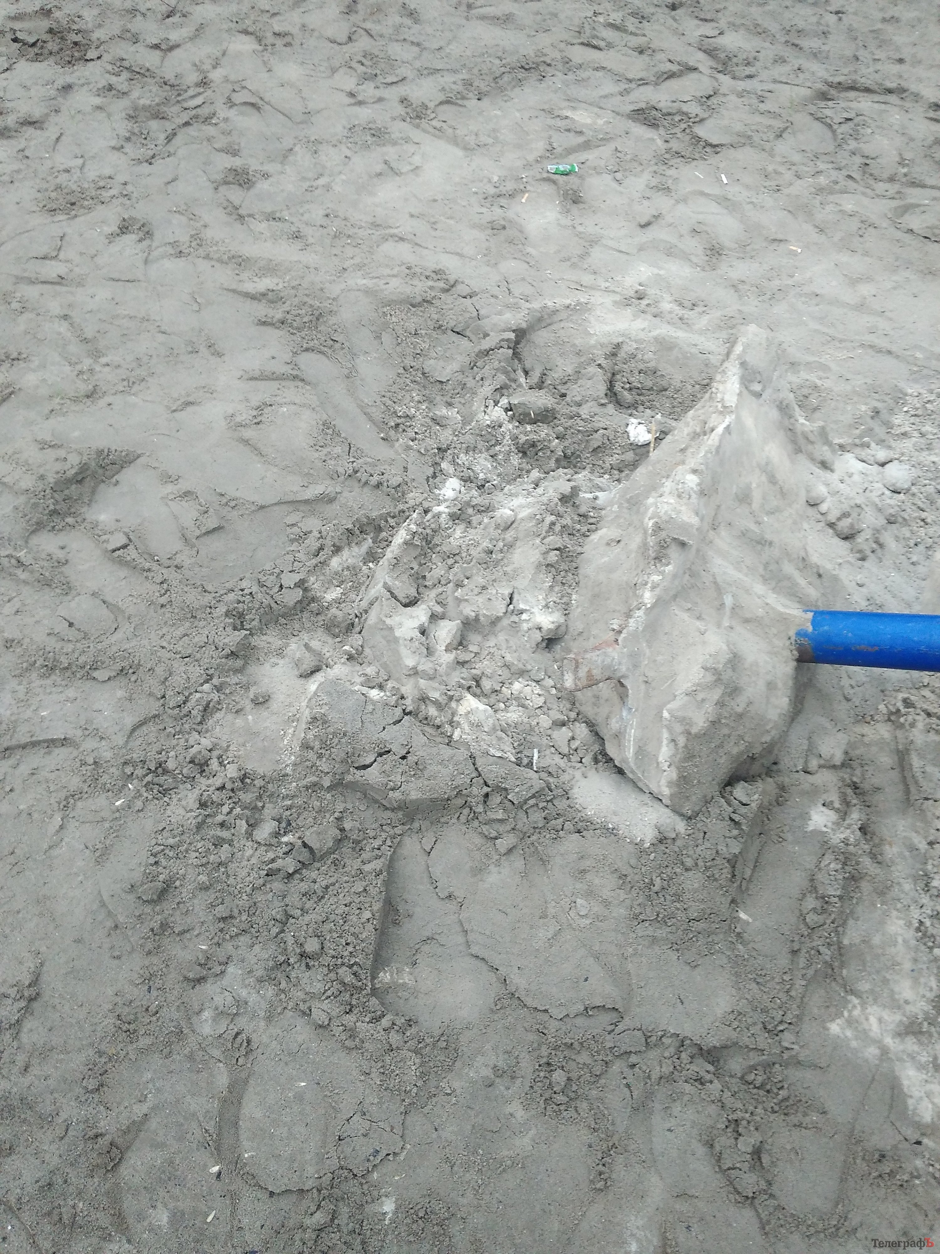 Осень - грибная пора: кременчужане пытались «собрать» пляжный грибок Осень - грибная пора: кременчужане пытались «собрать» пляжный грибок