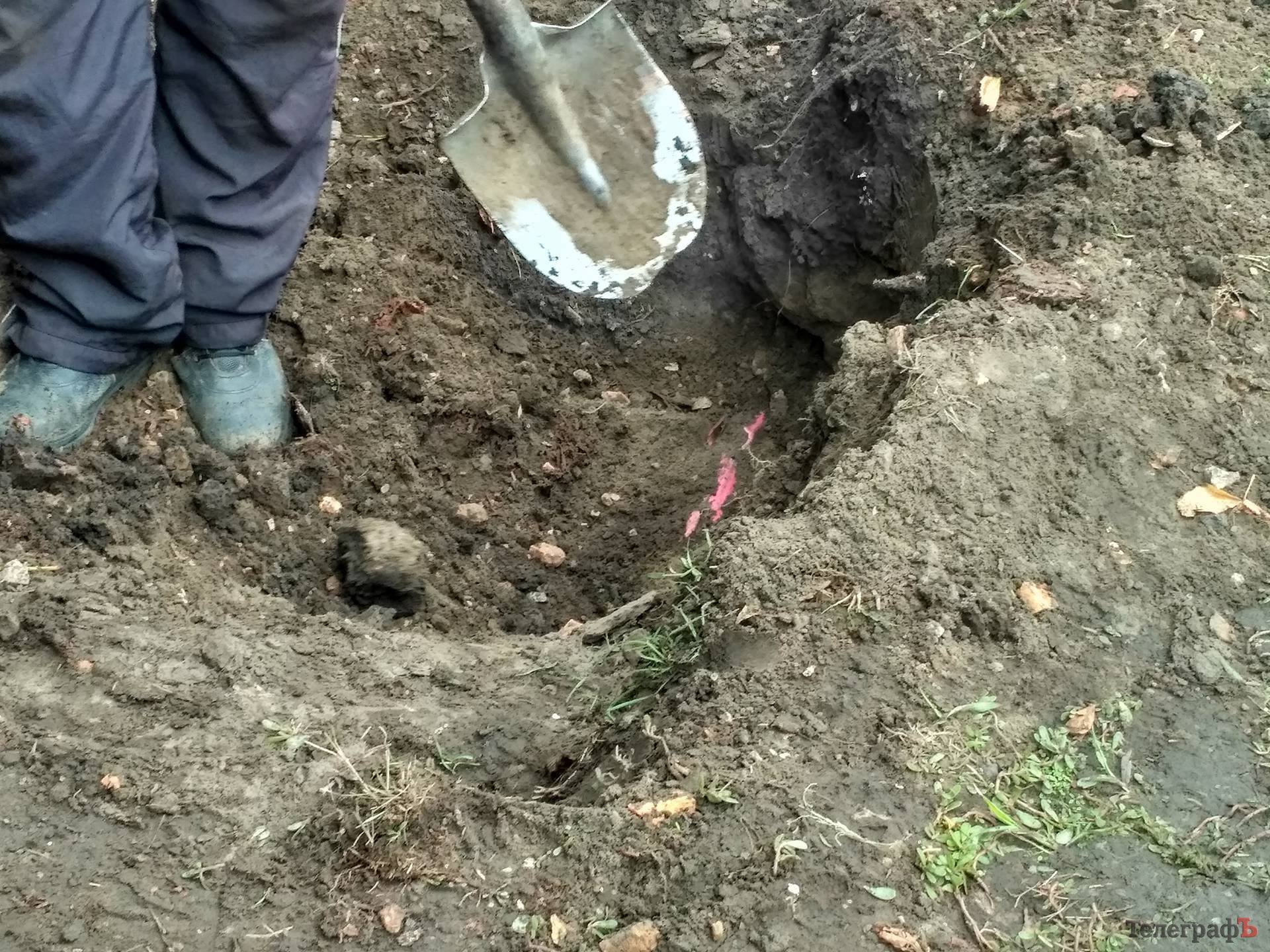 «Эх, рябинушка, ухнем! Кабель перебъём!» «Эх, рябинушка, ухнем! Кабель перебъём!»