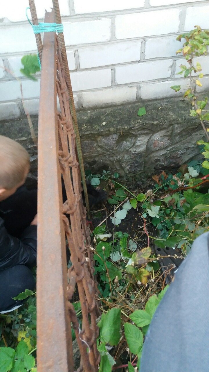 В Кременчуге спасатели доставали собаку, которая застряла в заборе В Кременчуге спасатели доставали собаку, которая застряла в заборе