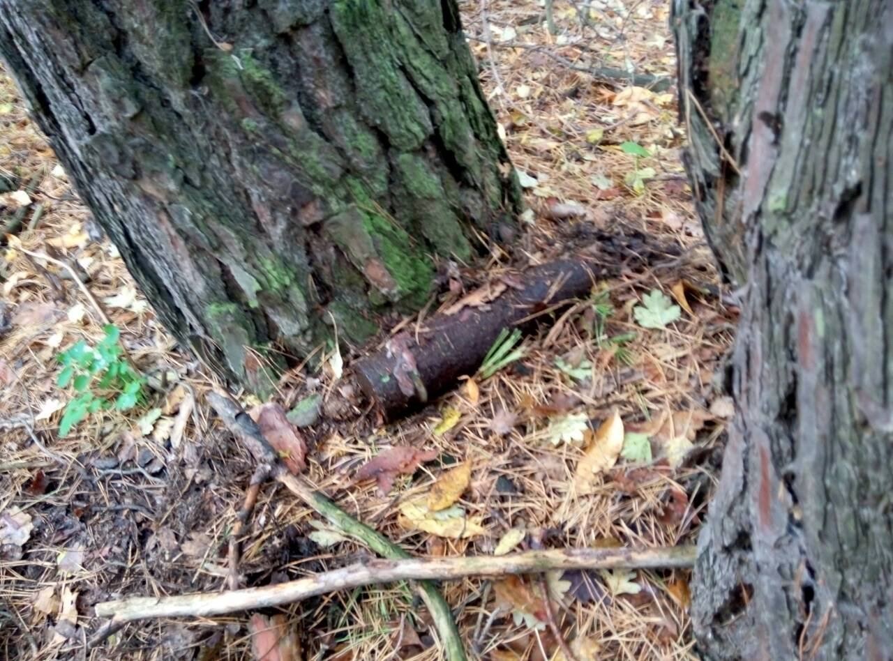 Под Кременчугом нашли артснаряд Под Кременчугом нашли артснаряд