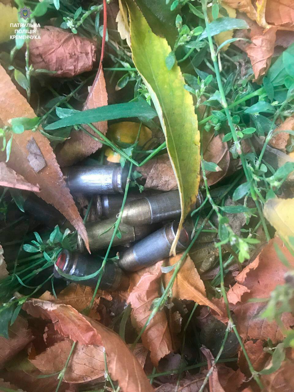 В Кременчуге патрульные поймали подозреваемого с пистолетом и ножом В Кременчуге патрульные поймали подозреваемого с пистолетом и ножом