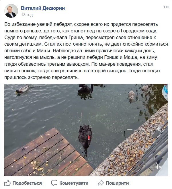 Лебединое озеро: Дедюрин пророчит паре Маши и Гриши пополнение Лебединое озеро: Дедюрин пророчит паре Маши и Гриши пополнение