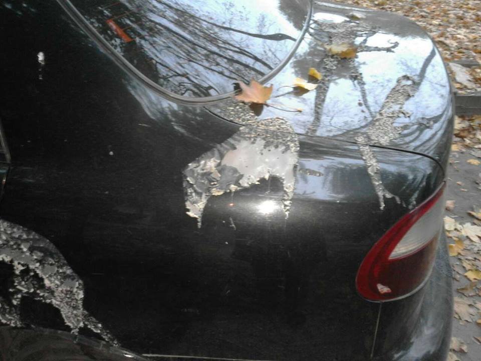 Адвокату обвиняемого в убийстве Бабаева облили кислотой машину Адвокату обвиняемого в убийстве Бабаева облили кислотой машину