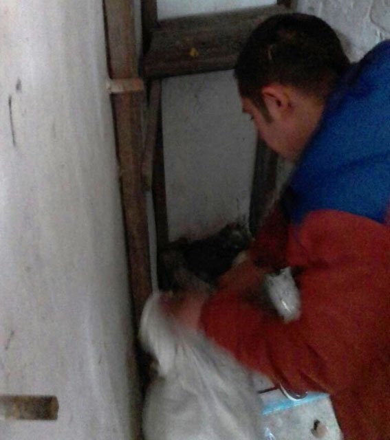 «Птичку... жалко»: в Кременчуге похитили 12 кур и 4 утки «Птичку... жалко»: в Кременчуге похитили 12 кур и 4 утки