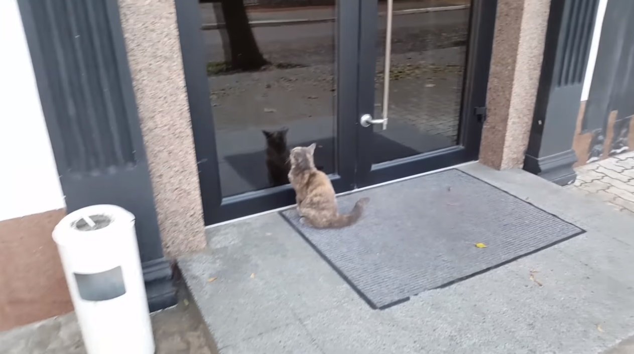 «Театр - це я»: життя акторів за кулісами кременчуцького Міського палацу культури «Театр - це я»: життя акторів за кулісами кременчуцького Міського палацу культури