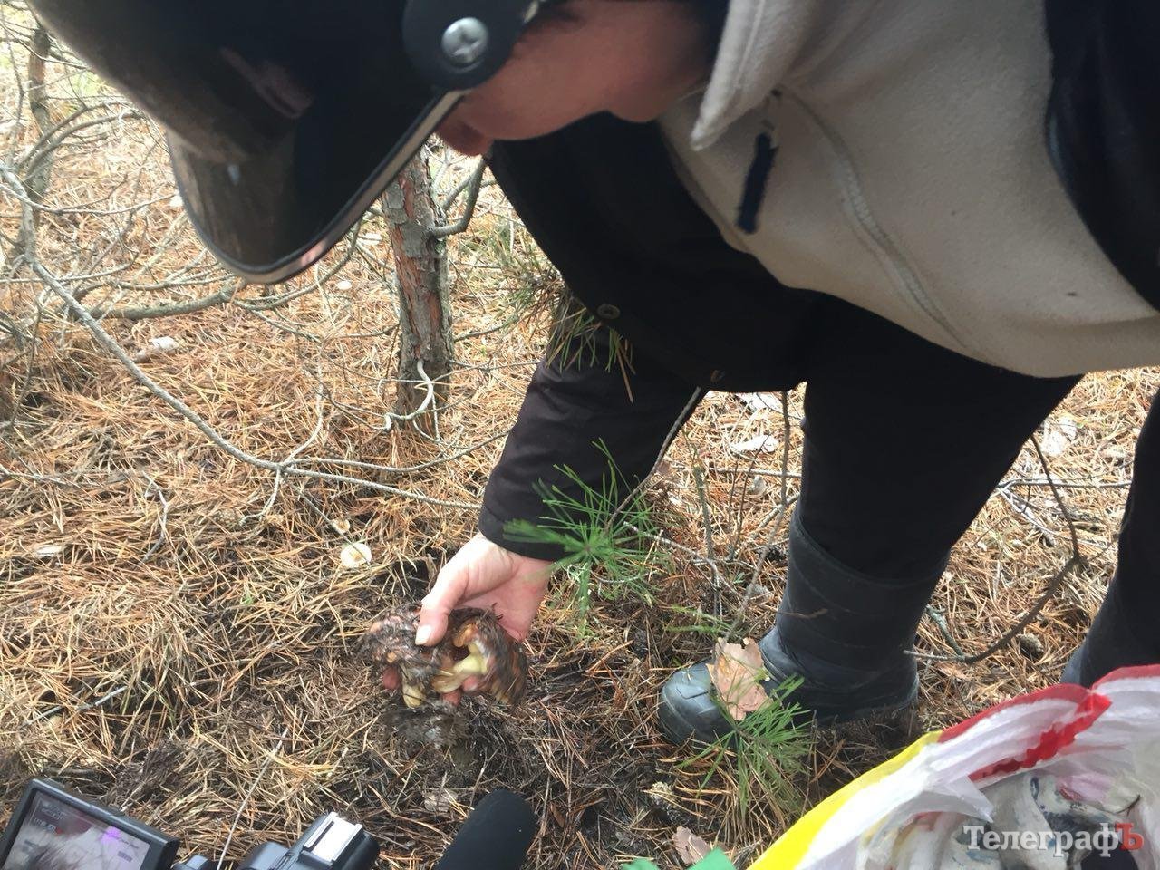 «Не одягайте камуфляж, якщо ідете по гриби», - рятувальники «Не одягайте камуфляж, якщо ідете по гриби», - рятувальники