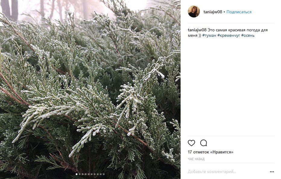 Кременчуг посреди облака: туман на улицах и в соцсетях Кременчуг посреди облака: туман на улицах и в соцсетях