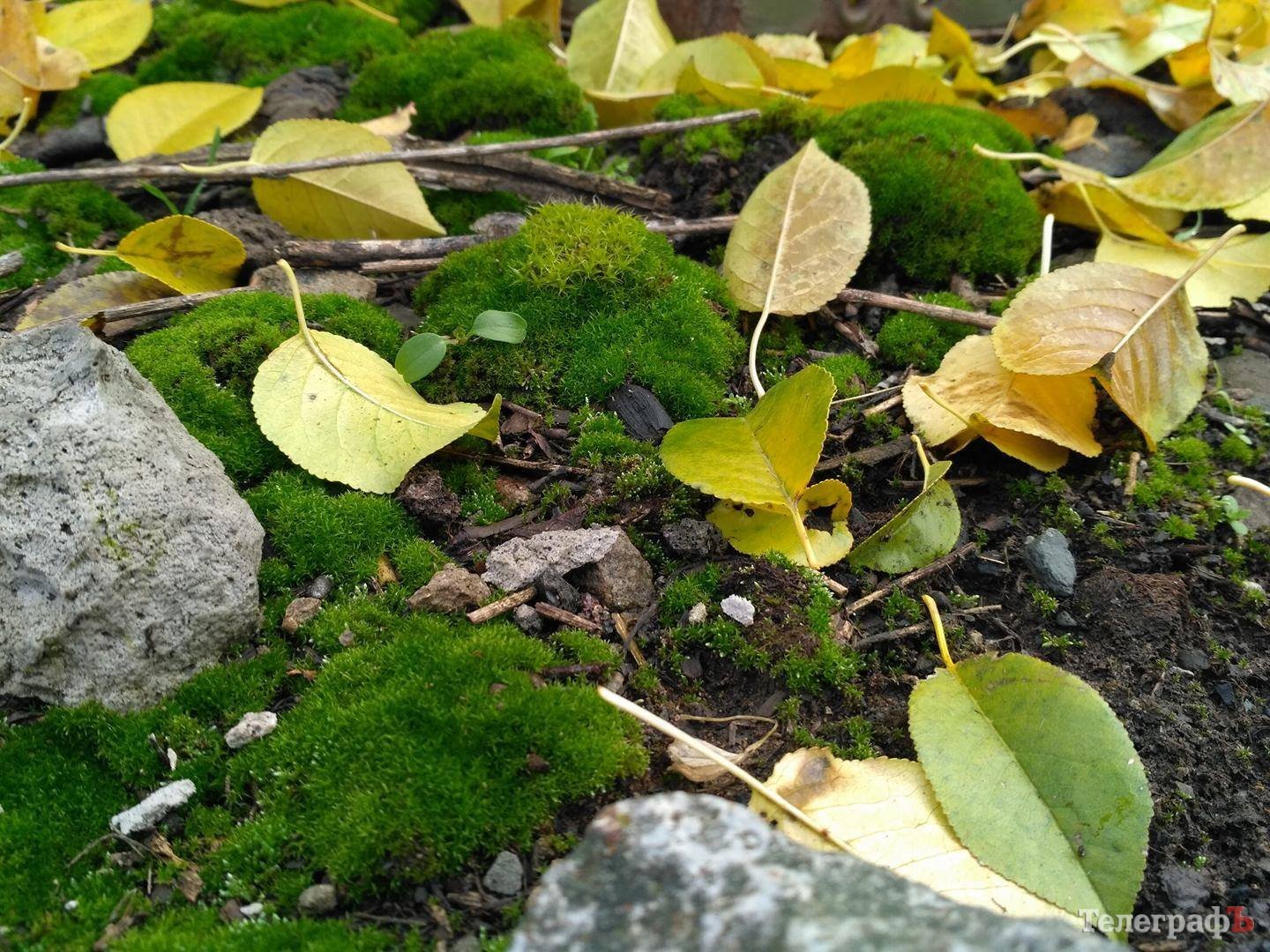 Гаряча промзона: як місцеві мешканці живуть пліч-о-пліч з військовими Гаряча промзона: як місцеві мешканці живуть пліч-о-пліч з військовими