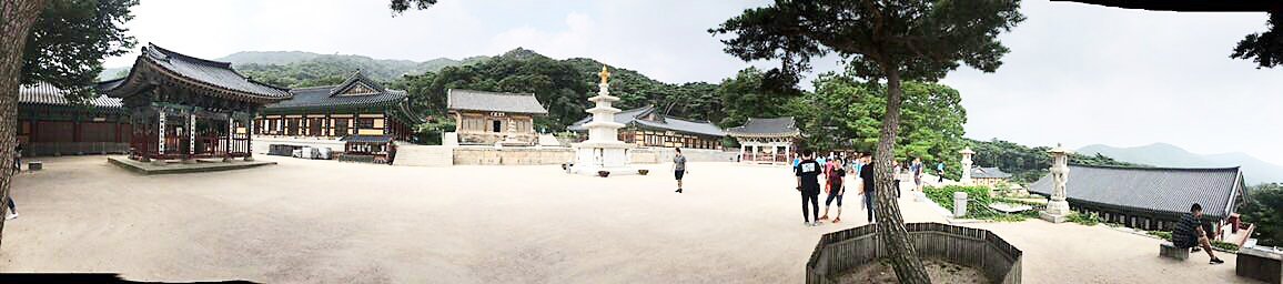 Опа, гангнам стайл: Южная Корея глазами кременчужан Опа, гангнам стайл: Южная Корея глазами кременчужан