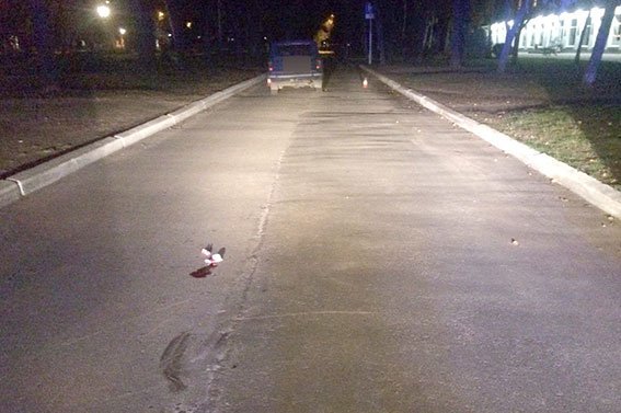 На бульварі Пушкіна ВАЗ збив пенсіонера На бульварі Пушкіна ВАЗ збив пенсіонера