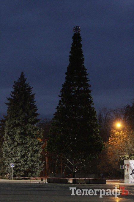 Фотофакт: вот как сегодня выглядит главная ёлочка Кременчуга Фотофакт: вот как сегодня выглядит главная ёлочка Кременчуга