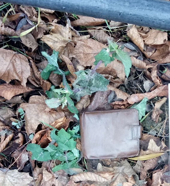 На Полтавщине 76-летнего пенсионера ограбили на кладбище На Полтавщине 76-летнего пенсионера ограбили на кладбище