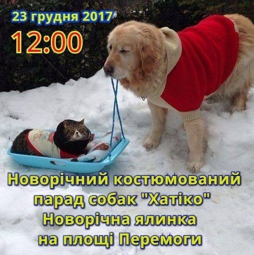 Таких Деда Мороза и Снегурки кременчужане еще, точно, не видали! Таких Деда Мороза и Снегурки кременчужане еще, точно, не видали!