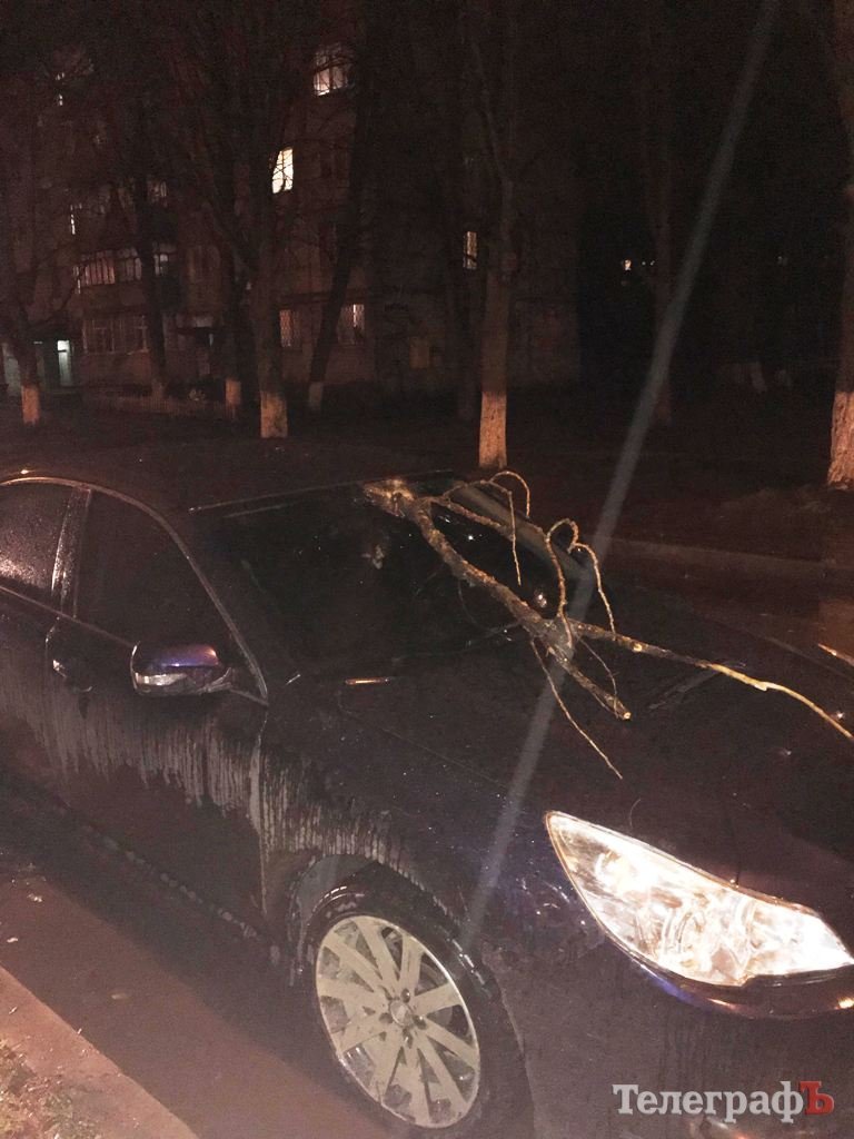 В Кременчуге упавшая ветка пробила лобовое стекло автомобиля и чуть не убила водителя В Кременчуге упавшая ветка пробила лобовое стекло автомобиля и чуть не убила водителя