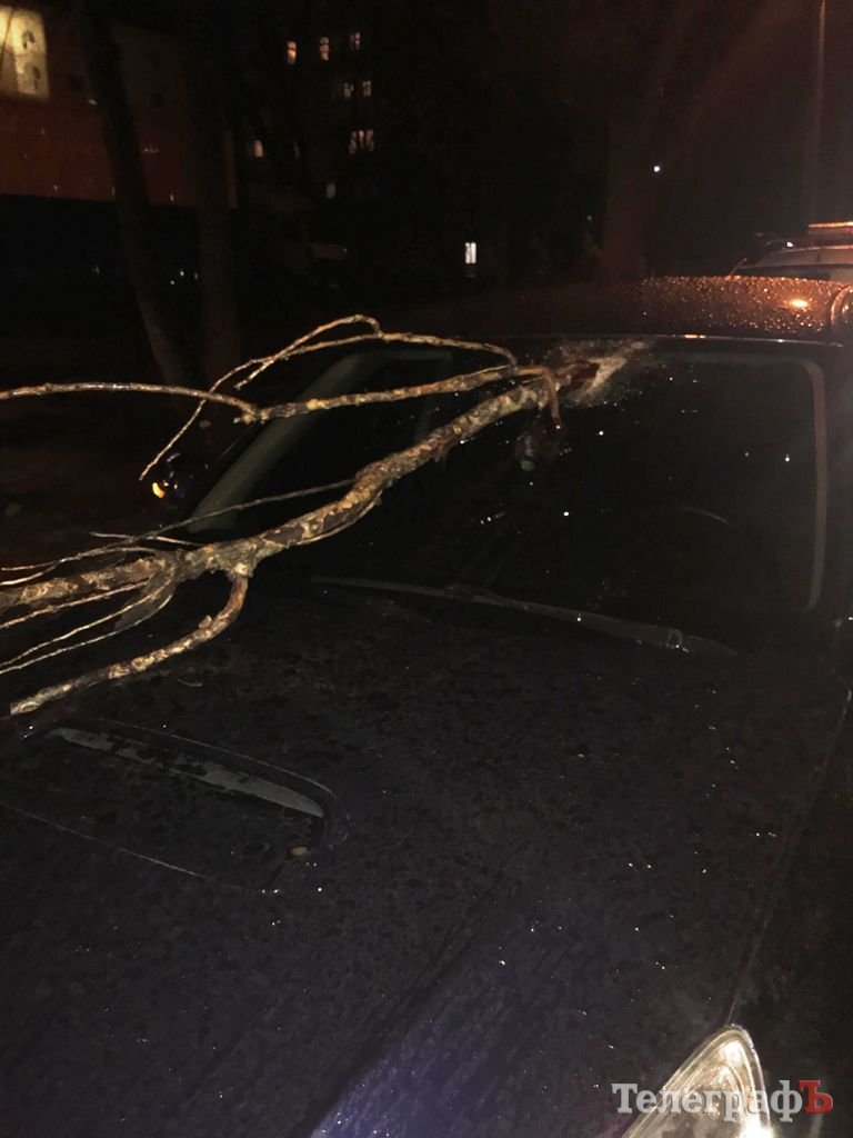 В Кременчуге упавшая ветка пробила лобовое стекло автомобиля и чуть не убила водителя В Кременчуге упавшая ветка пробила лобовое стекло автомобиля и чуть не убила водителя