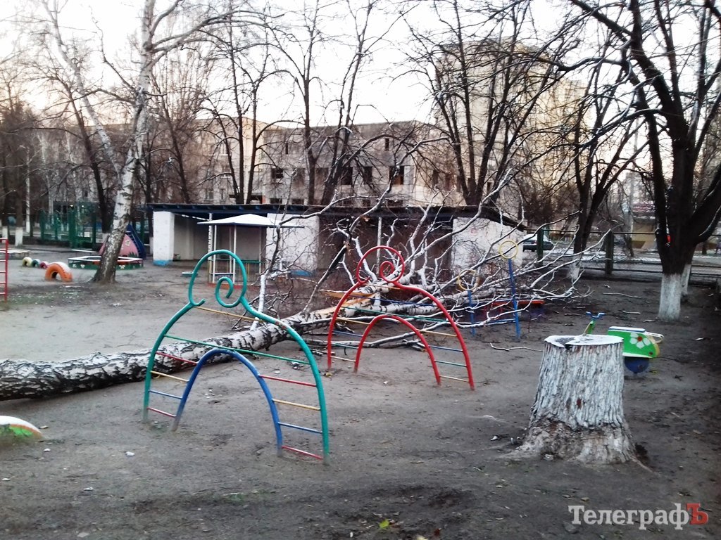 В Кременчуге дерево упало на площадку в детском садике В Кременчуге дерево упало на площадку в детском садике