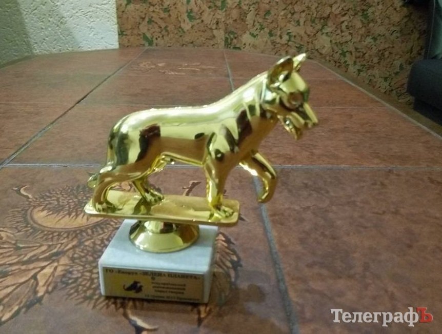 Уже скоро! Читатели «Телеграфа» смогут выбрать лучшую собаку в новогоднем костюме Уже скоро! Читатели «Телеграфа» смогут выбрать лучшую собаку в новогоднем костюме