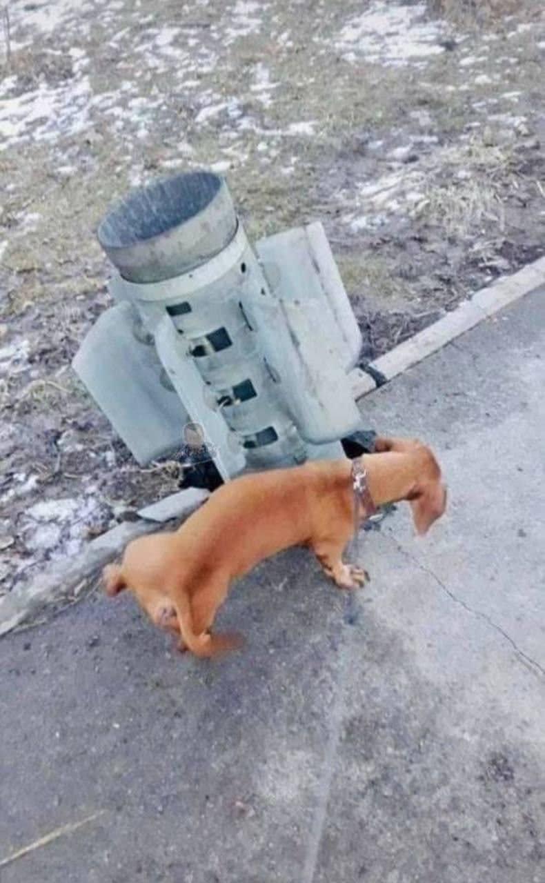 Звичайний таксобандерівець - так підписане це фото з Харкова у фейсбуці