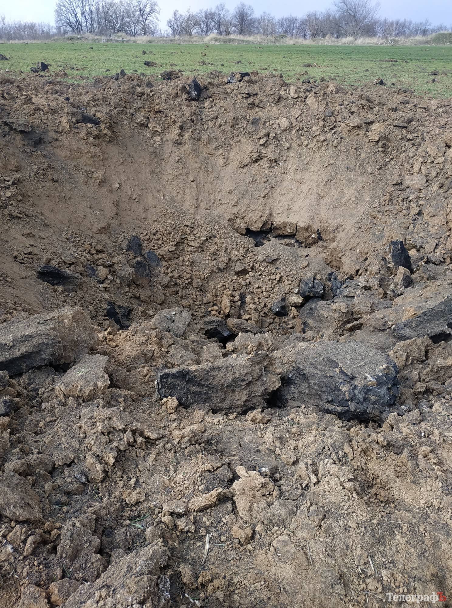 Місцеві жителі розповідають, що корів з Агромоловської ферми окупанти зігнали в яр і розстріляли