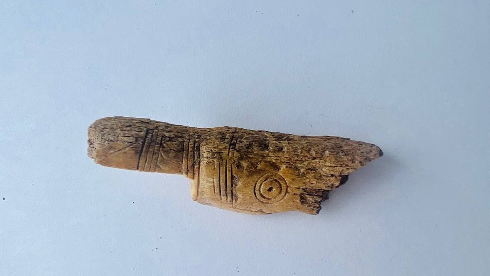 Уламок псалія з поселення Старий кар'єр