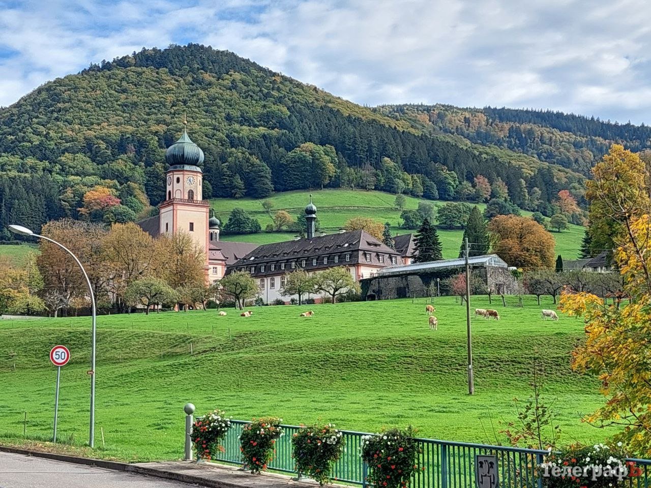 Передмістя Фрайбурга