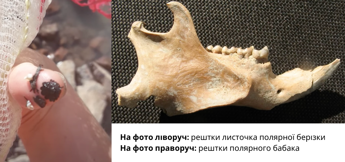 Деякі зі знайдених у кар?єрах Ferrexpo решток