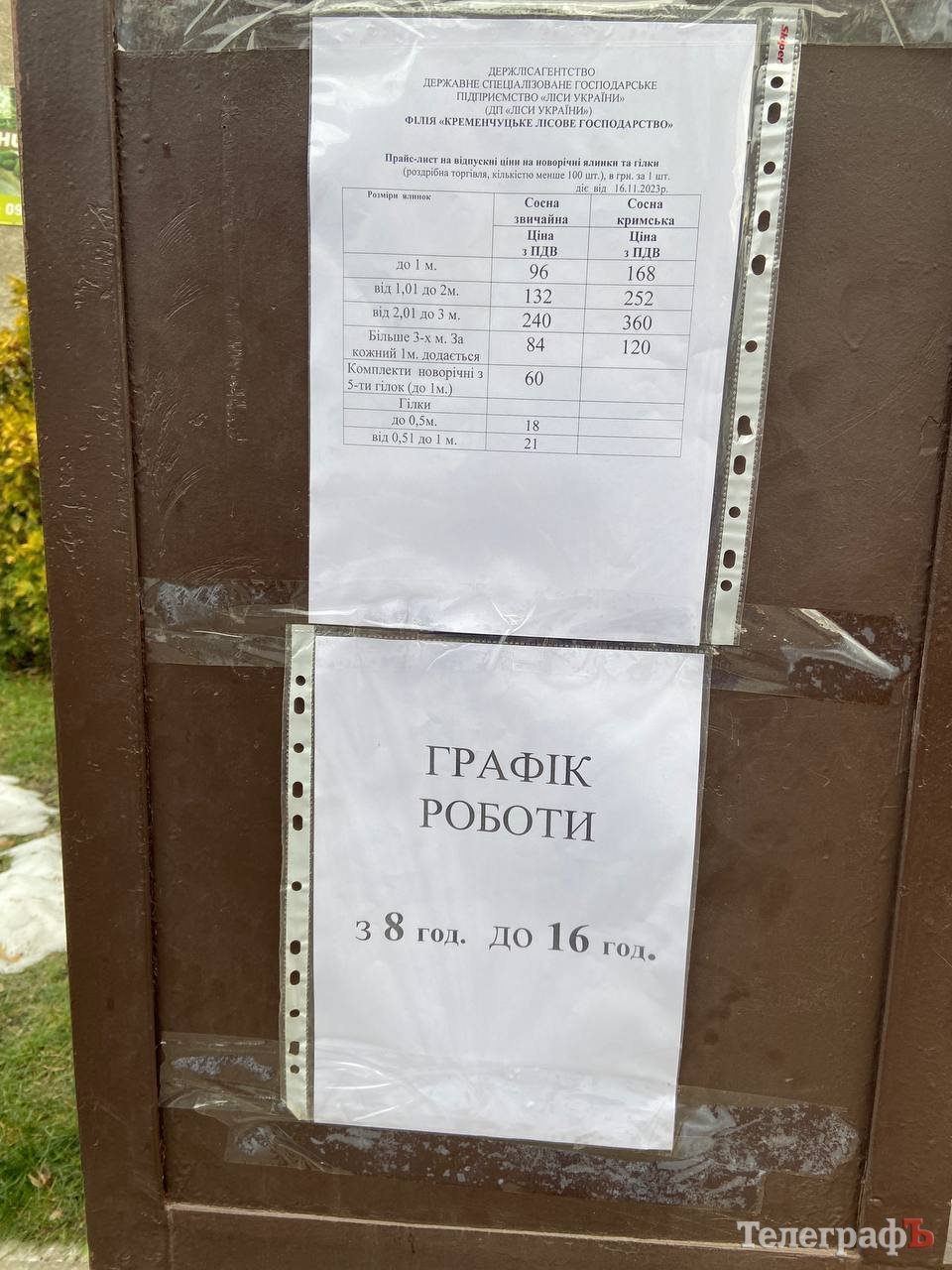 Працює лісгосп з 8.00 до 16.00.