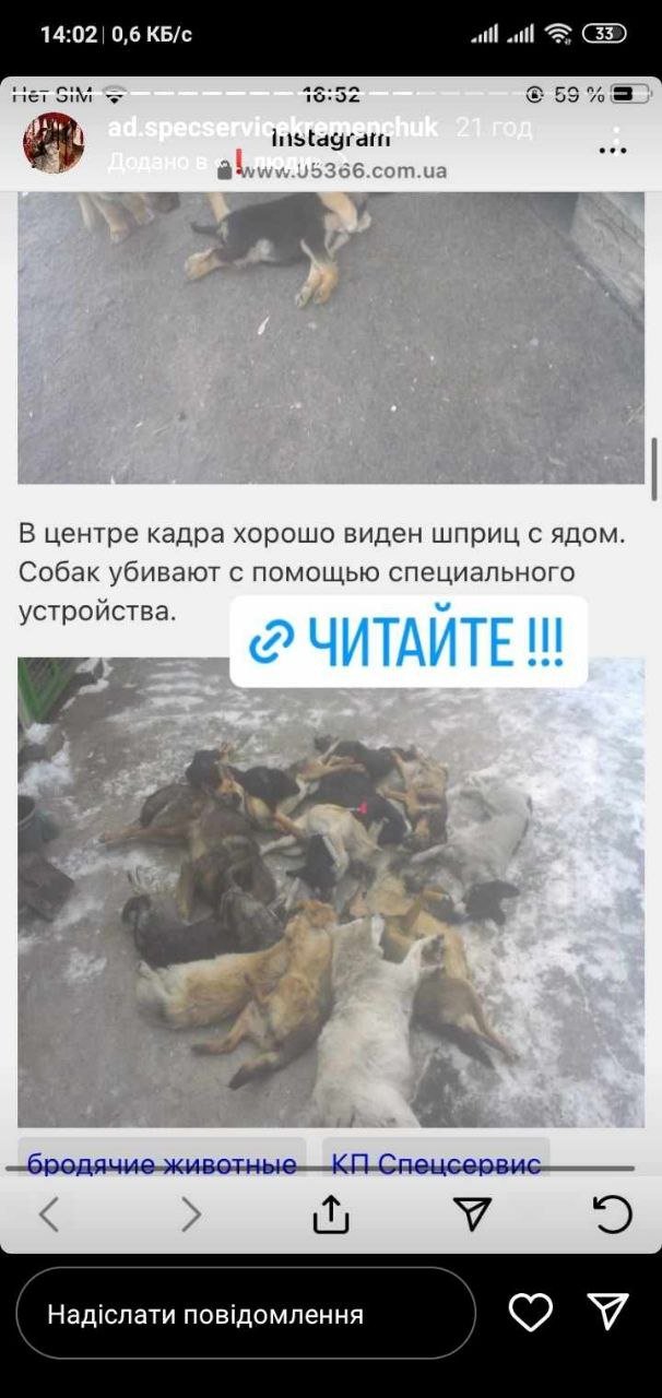 Цьому фото 10 років