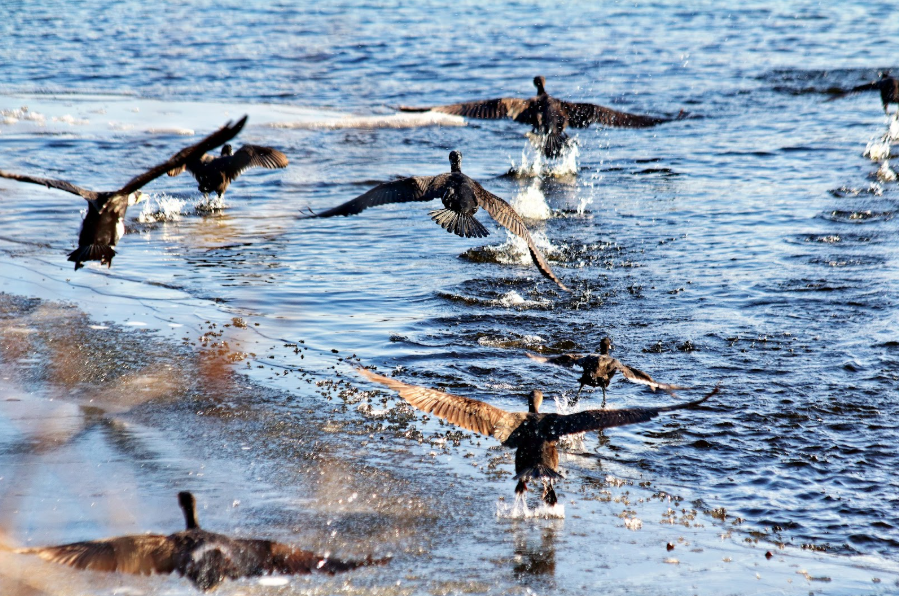 Район станції Редути. Лютий 2025 року. Фото Сергія Калініченка