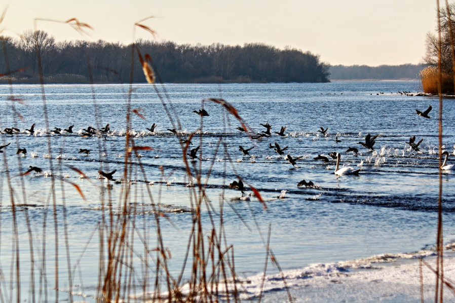 Район станції Редути. Лютий 2025 року. Фото Сергія Калініченка