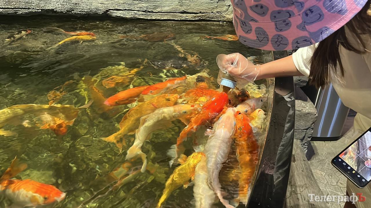 Мені найбільше сподобалися контактні пінгвіни й різнокольорові рибки, яких можна годувати зі звичайної дитячої соски.