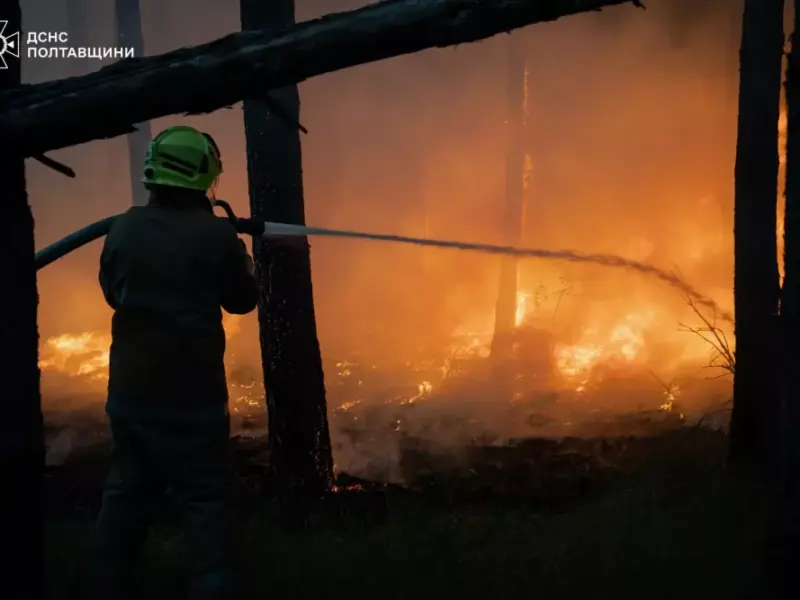 У Горішніх Плавнях горів ліс