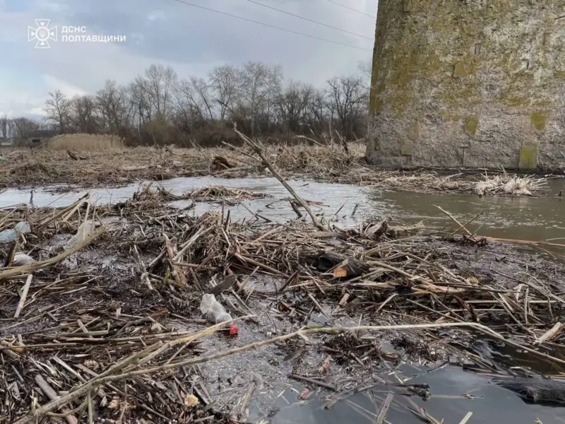 <span class="custom-bold">На Пслі біля мосту на Горішні Плавні виник великий затор з деревини – рятувальники його розбирають</span>